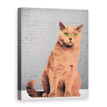 Tablou canvas - Anne Storno - Toata lumea vrea sa fie o pisica, 2017, 75 x 100 cm Tablou canvas - Anne Storno - Toata lumea vrea sa fie o pisica, 2017, 75 x 100 cm