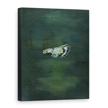 Tablou canvas - Bella Larsson - Aripa molie, 2014, 50 x 70 cm Tablou canvas - Bella Larsson - Aripa molie, 2014, 50 x 70 cm