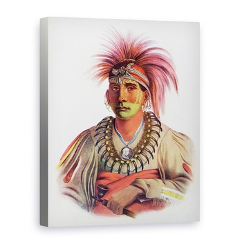 Tablou canvas - Charles Bird King - Nowaykesugga, un Otto, ilustratie din Triburile indiene din America de Nord, vol.3, de Thomas L. McKenney si James Hall, 75 x 100 cm Tablou canvas - Charles Bird King - Nowaykesugga, un Otto, ilustratie din Triburile indiene din America de Nord, vol.3, de Thomas L. McKenney si James Hall, 75 x 100 cm