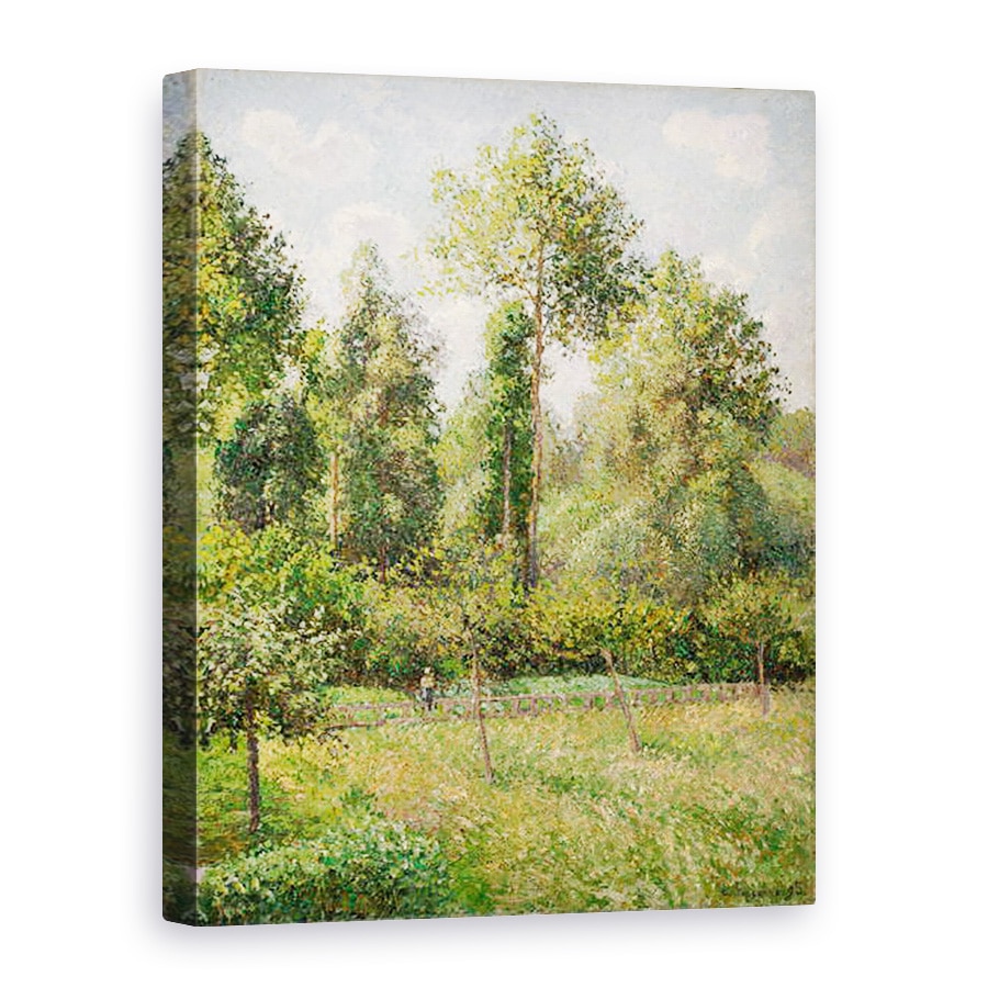 Tablou canvas - Camille Pissarro - Plopi, 50 x 70 cm