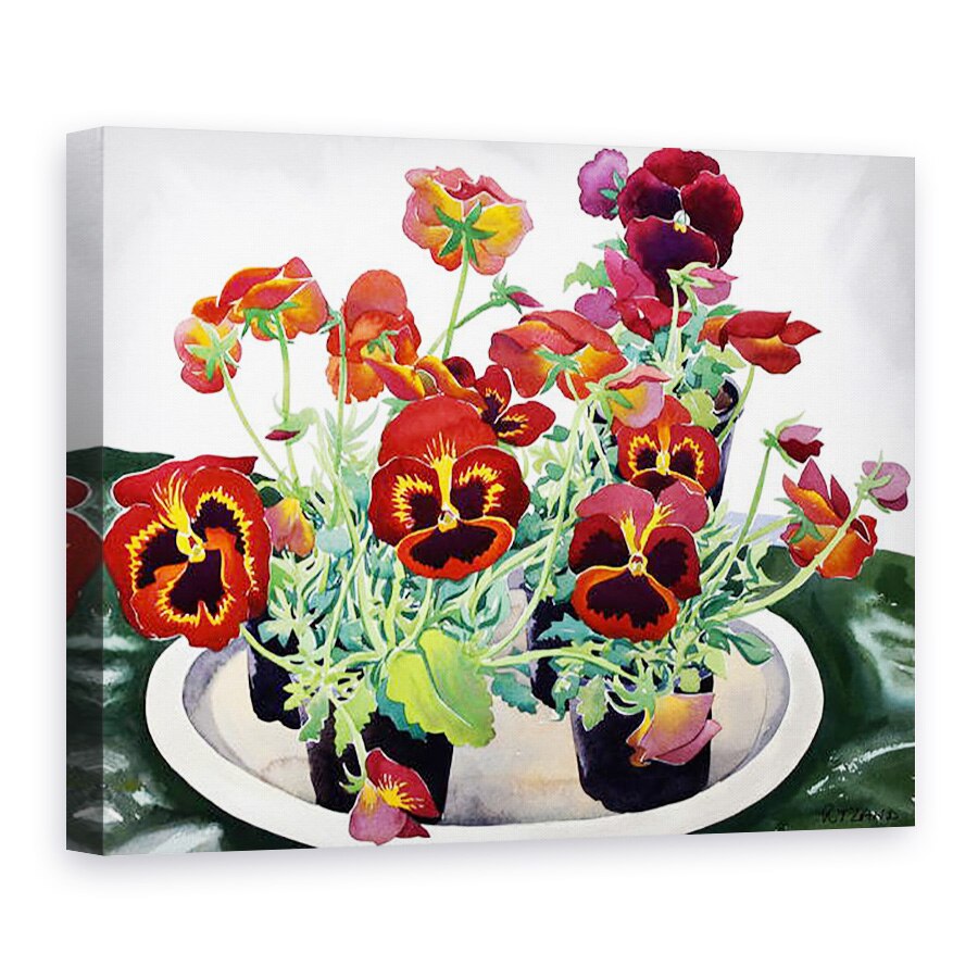 Tablou canvas - Christopher Ryland - Panselute, 50 x 70 cm