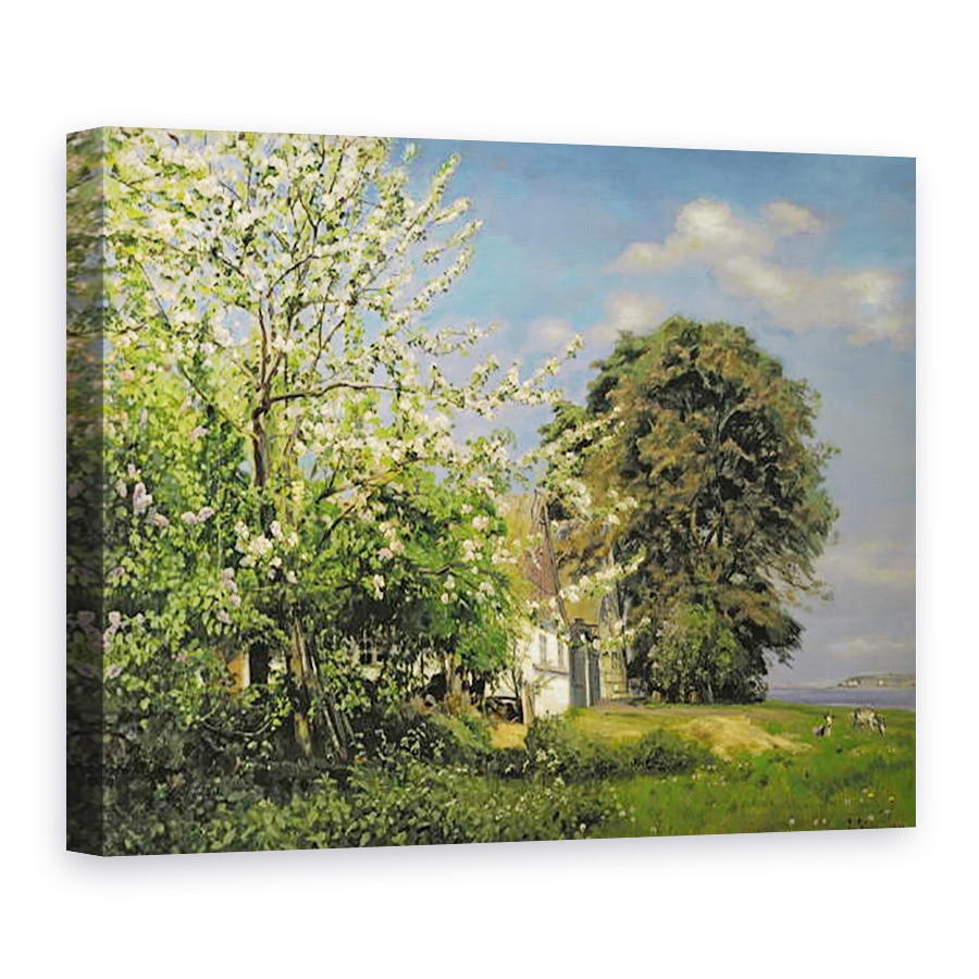 Tablou canvas - Christian Zacho - Floarea de primavara, 50 x 70 cm