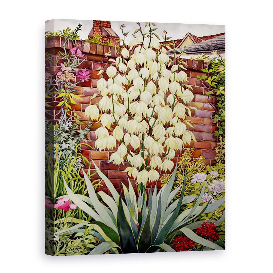 Tablou canvas - Christopher Ryland - inflorire Yucca, 50 x 70 cm