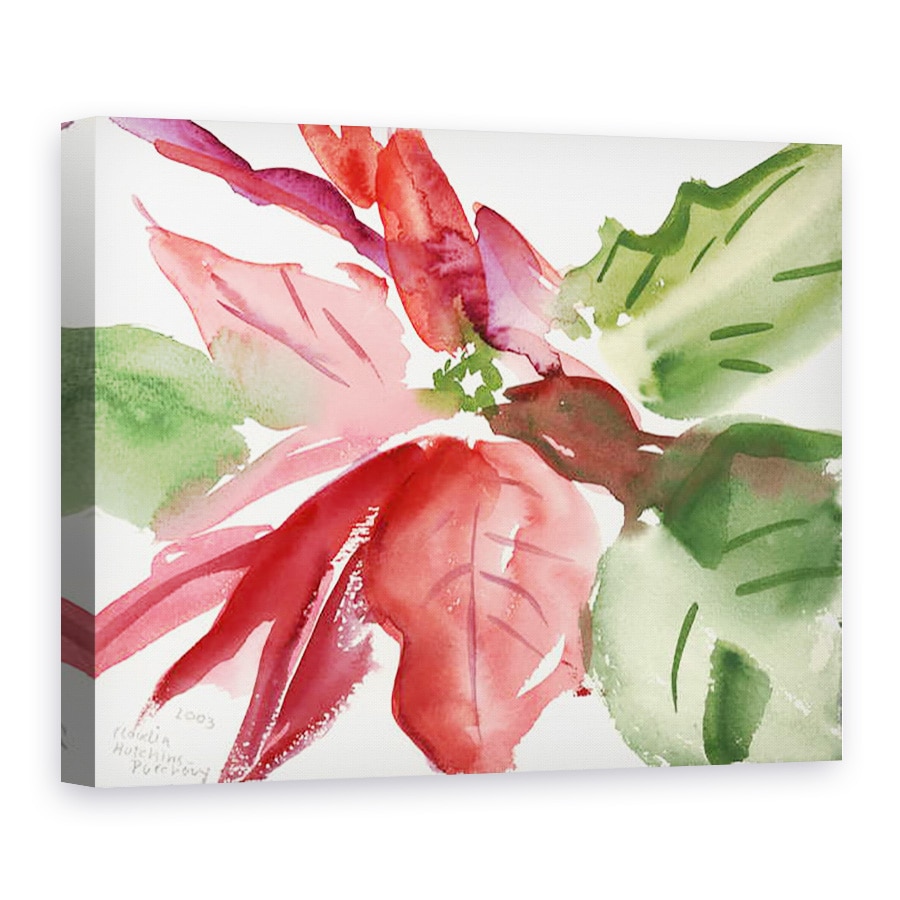 Tablou canvas - Claudia Hutchins-Puechavy - Poinsettia, 50 x 70 cm