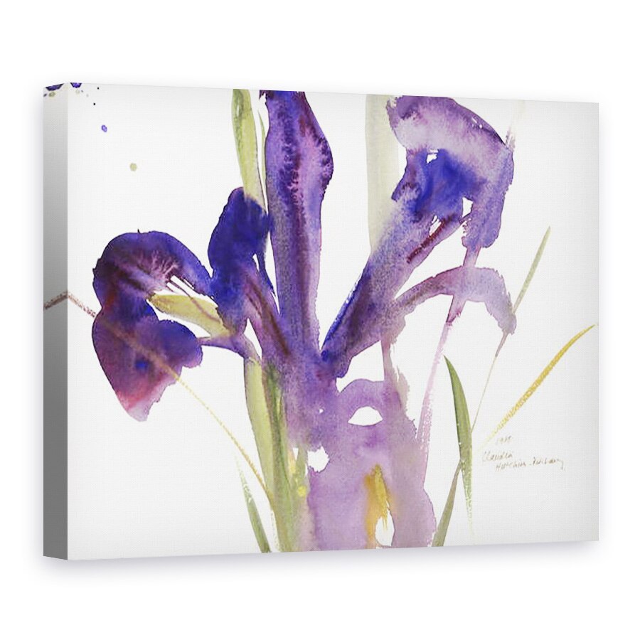 Tablou canvas - Claudia Hutchins-Puechavy - Iris, 50 x 70 cm
