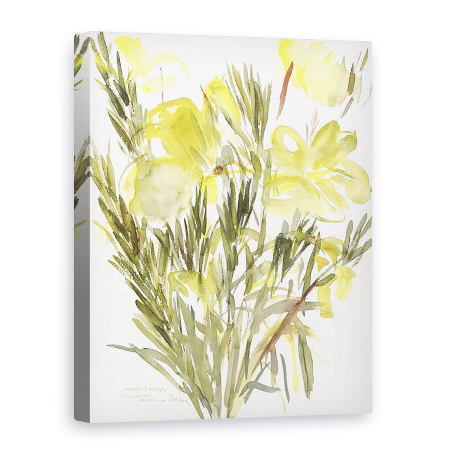 Tablou canvas - Claudia Hutchins-Puechavy - Primula de seara, 2004, 50 x 70 cm