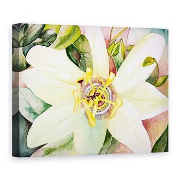 Tablou canvas - Deborah Eve Alastra - Floarea pasiunii, 50 x 70 cm Tablou canvas - Deborah Eve Alastra - Floarea pasiunii, 50 x 70 cm