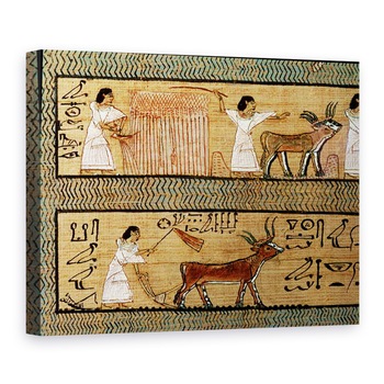 Tablou canvas - Egyptian 19th Dynasty - Culege si arat, detalii dintr-o reprezentare a activitatilor agricole in viata de apoi, din Cartea mortilor carturarului Orice, 75 x 100 cm Tablou canvas - Egyptian 19th Dynasty - Culege si arat, detalii dintr-o reprezentare a activitatilor agricole in viata de apoi, din Cartea mortilor carturarului Orice, 75 x 100 cm