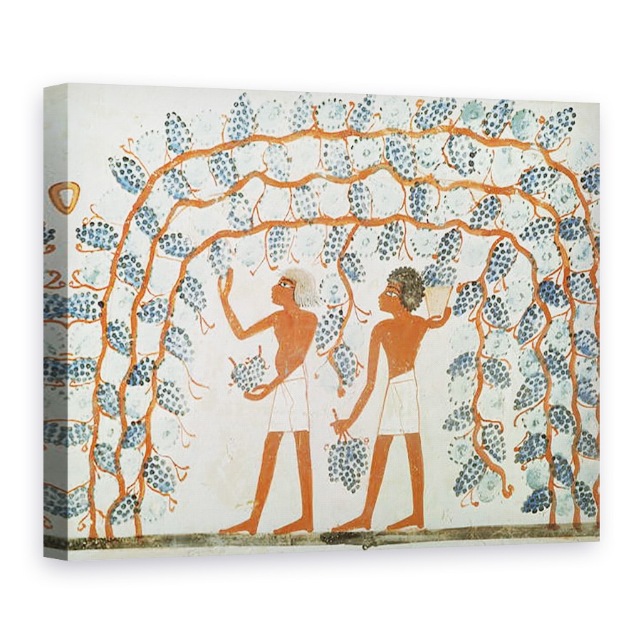 Tablou canvas - Egyptian 18th Dynasty - Culegerea strugurilor, din mormantul lui Nakht, 75 x 100 cm