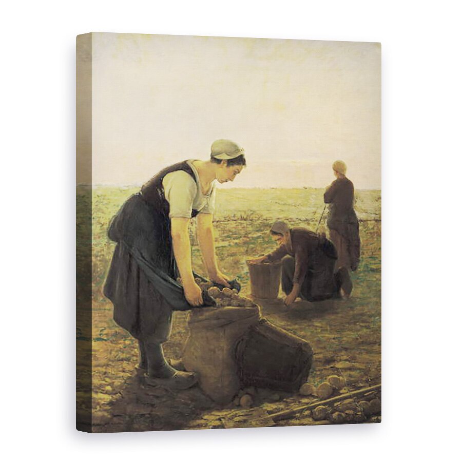 Tablou canvas - Ernest Masson - Recolta cartofului, 50 x 70 cm