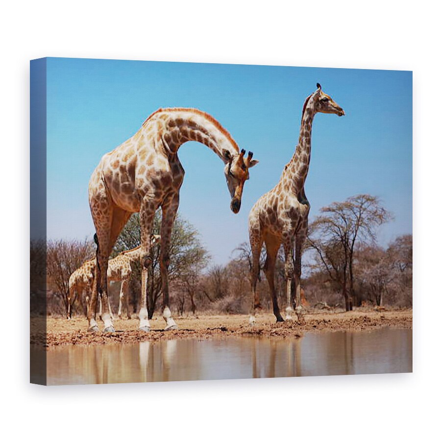 Tablou canvas - Eric Meyer - Girafe de Sud, 2019, 75 x 100 cm