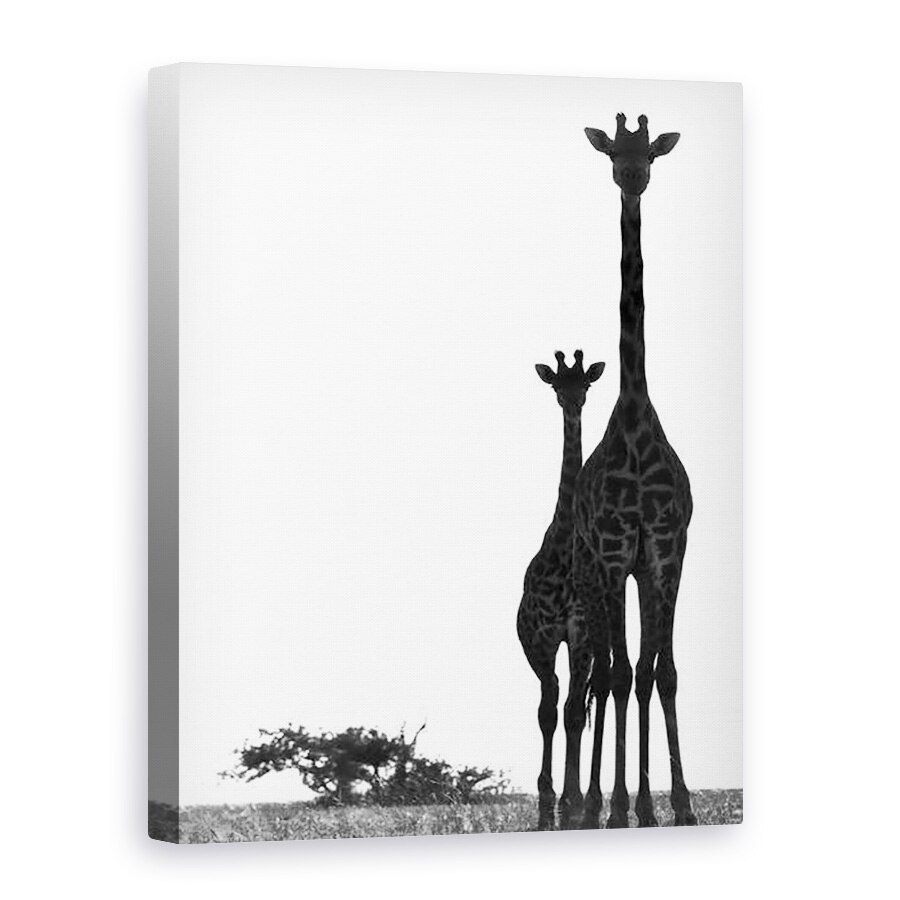 Tablou canvas - Eric Meyer - Gatul si gatul, Chyulus, 2018, 50 x 70 cm