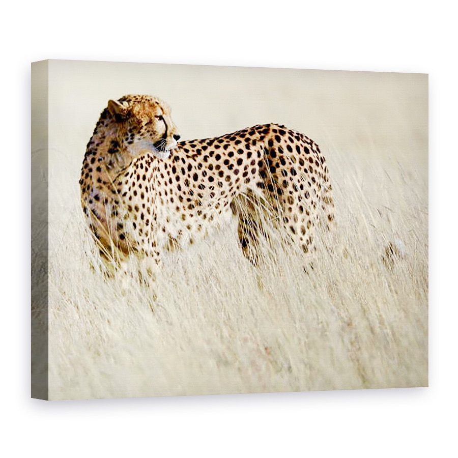 Tablou canvas - Eric Meyer - Cheetah, Etosha, 2017, 50 x 70 cm