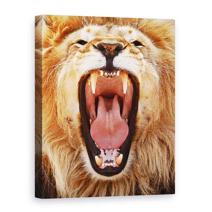 Tablou canvas - Eric Meyer - Hohote, 2018, 50 x 70 cm