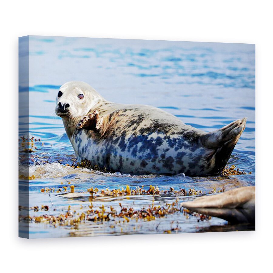 Tablou canvas - Eric Meyer - Gri?, 2019, 50 x 70 cm