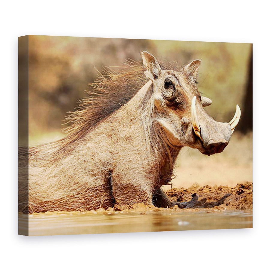 Tablou canvas - Eric Meyer - Warthog, Muntele Etjo Namibia, 50 x 70 cm