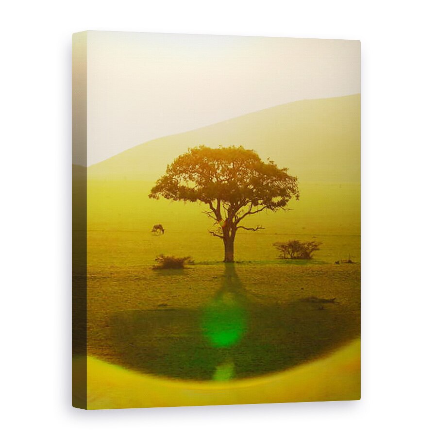 Tablou canvas - Eric Meyer - Paradisul dupa ploaie, Hills Chyulu, 2018, 50 x 70 cm