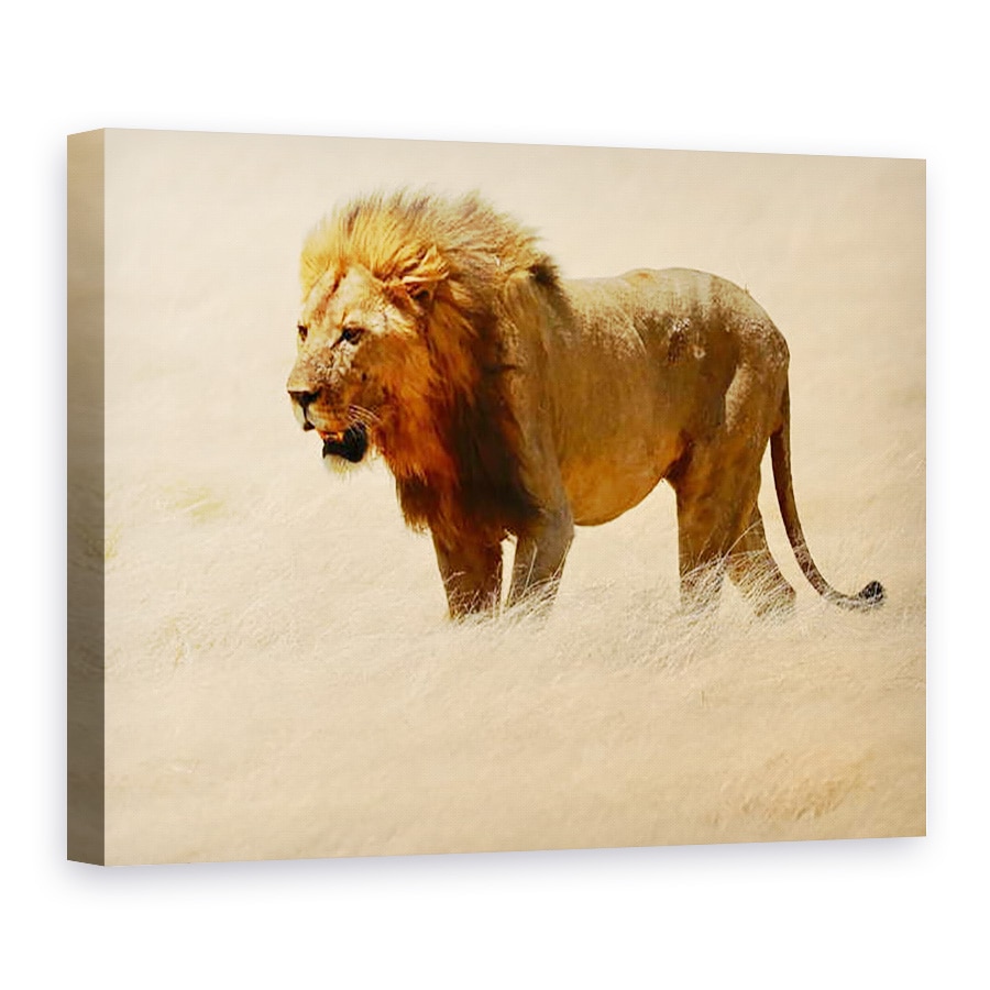 Tablou canvas - Eric Meyer - Warrior, Etosha, 2018, 50 x 70 cm