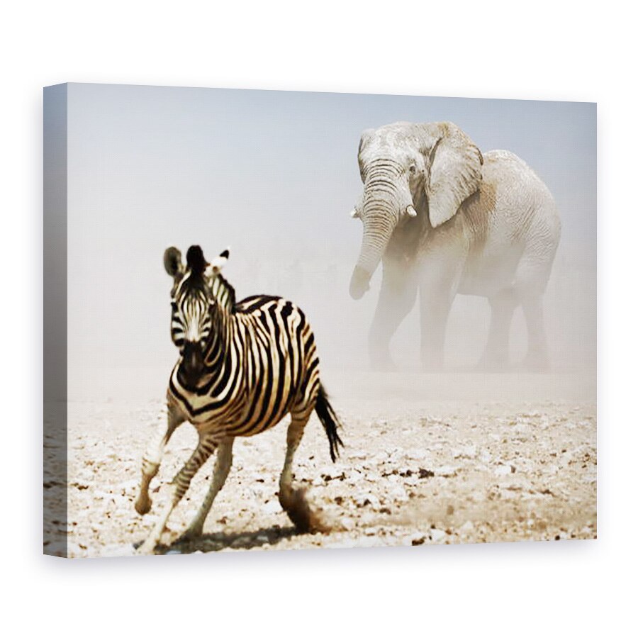 Tablou canvas - Eric Meyer - Elefant si Zebra, Etosha, 2018, 50 x 70 cm