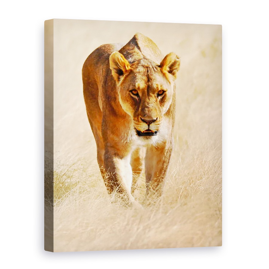 Tablou canvas - Eric Meyer - Huntress, Etosha, 50 x 70 cm