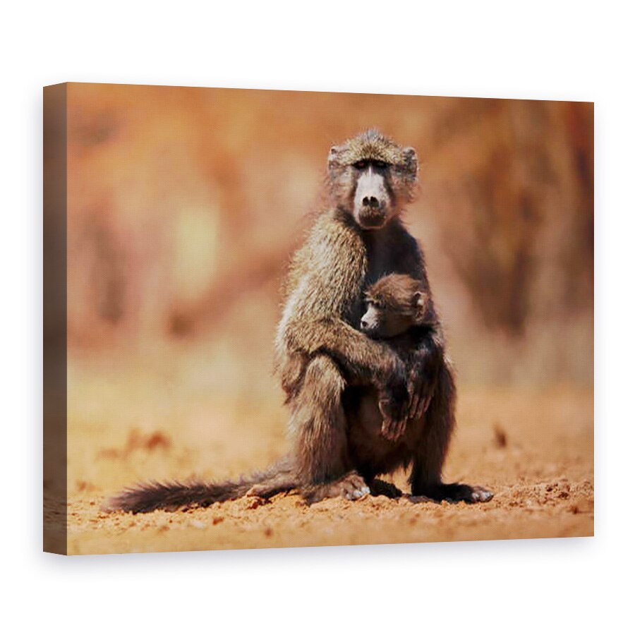 Tablou canvas - Eric Meyer - Mama si copilul babuin, 50 x 70 cm