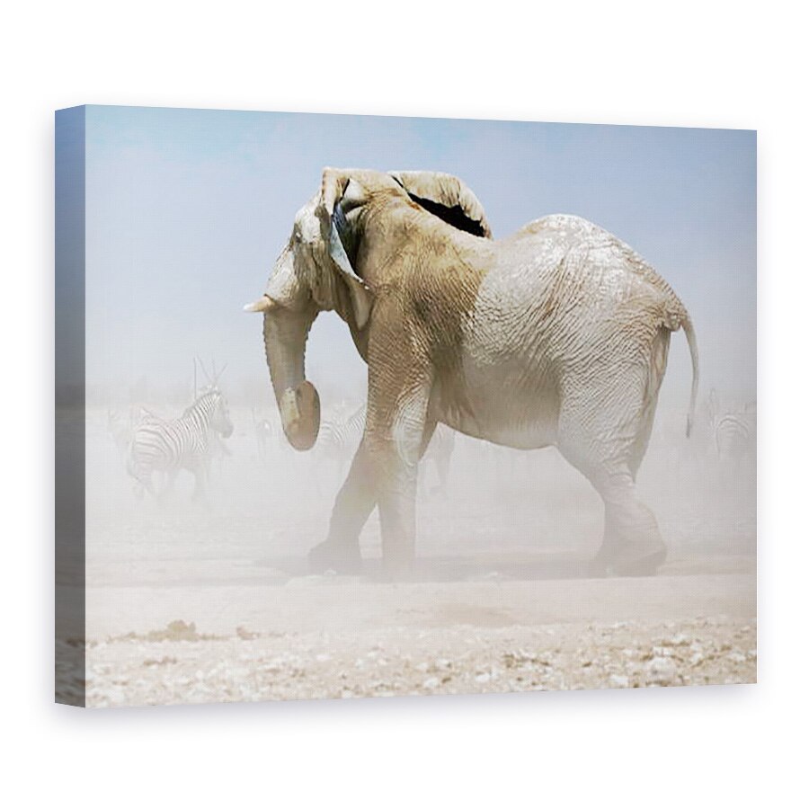 Tablou canvas - Eric Meyer - Bull Elephant, Etosha, 2018, 50 x 70 cm