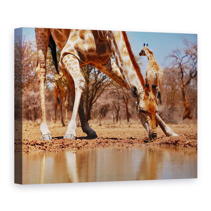 Tablou canvas - Eric Meyer - Baut, 50 x 70 cm