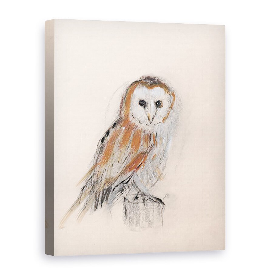 Tablou canvas - Faisal Khouja - Bufnita de hambar, 2013, 50 x 70 cm