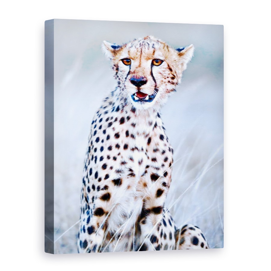 Tablou canvas - Eric Meyer - Tanar ghepard, 2019, 50 x 70 cm