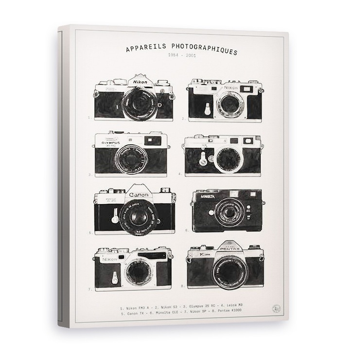 Tablou canvas - Florent Bodart - Camere foto, 50 x 70 cm