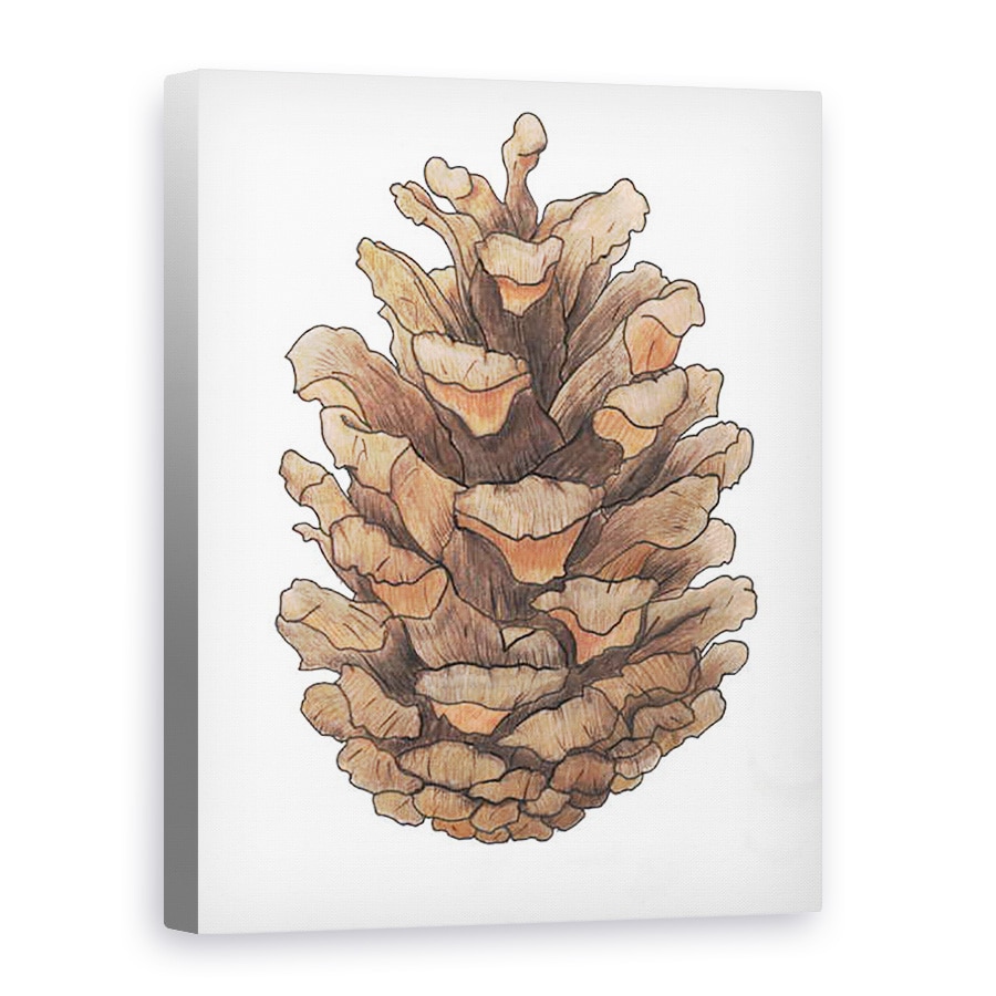 Tablou canvas - Faisal Khouja - Studiu con de pin, 2013, 75 x 100 cm