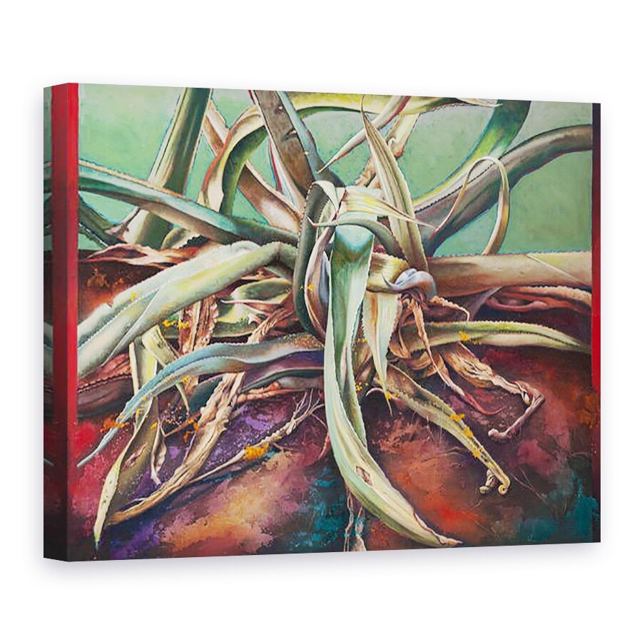 Tablou canvas - Frances Ferdinands - Planta secol, 75 x 100 cm