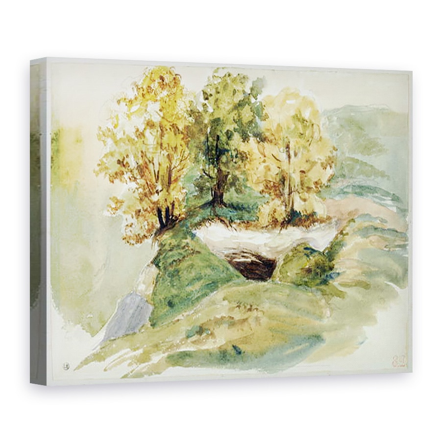 Tablou canvas - Ferdinand Victor Eugene Delacroix - Trei copaci la marginea unui deal, 75 x 100 cm