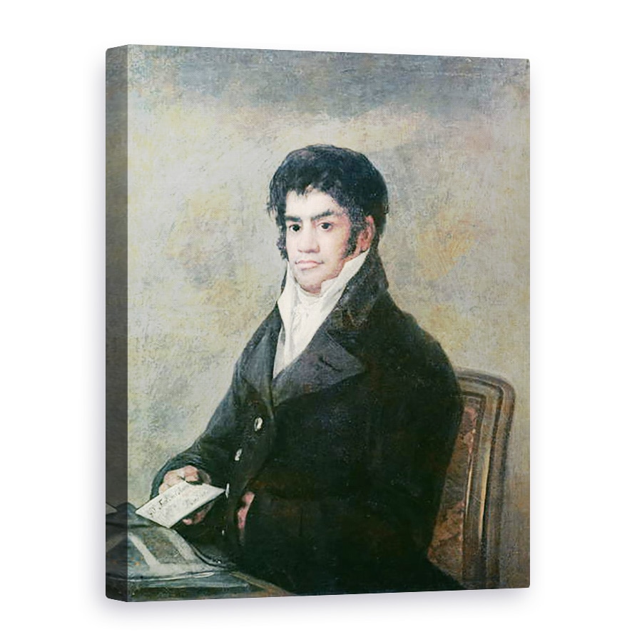 Tablou canvas - Francisco Jose de Goya y Lucientes - Portret De Don Francisco del Mazo, 50 x 70 cm