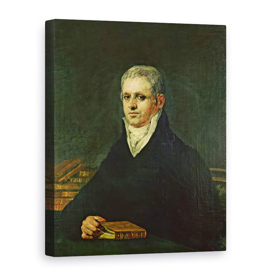 Tablou canvas - Francisco Jose de Goya y Lucientes - Portret De Don Jose Munarriz, 75 x 100 cm