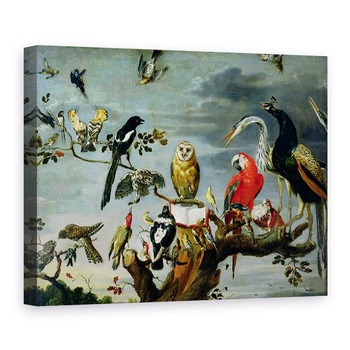 Tablou canvas - Frans Snyders - Concert de pasari, 60 x 80 cm Tablou canvas - Frans Snyders - Concert de pasari, 60 x 80 cm
