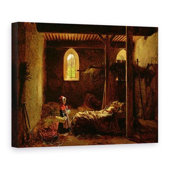 Tablou canvas - Francois Richard Fleury - Scufita Rosie, 50 x 70 cm Tablou canvas - Francois Richard Fleury - Scufita Rosie, 50 x 70 cm