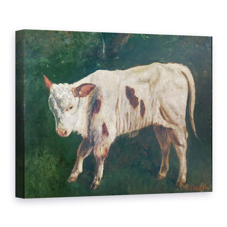 Tablou canvas - Gustave Courbet - Un vitel, 60 x 80 cm