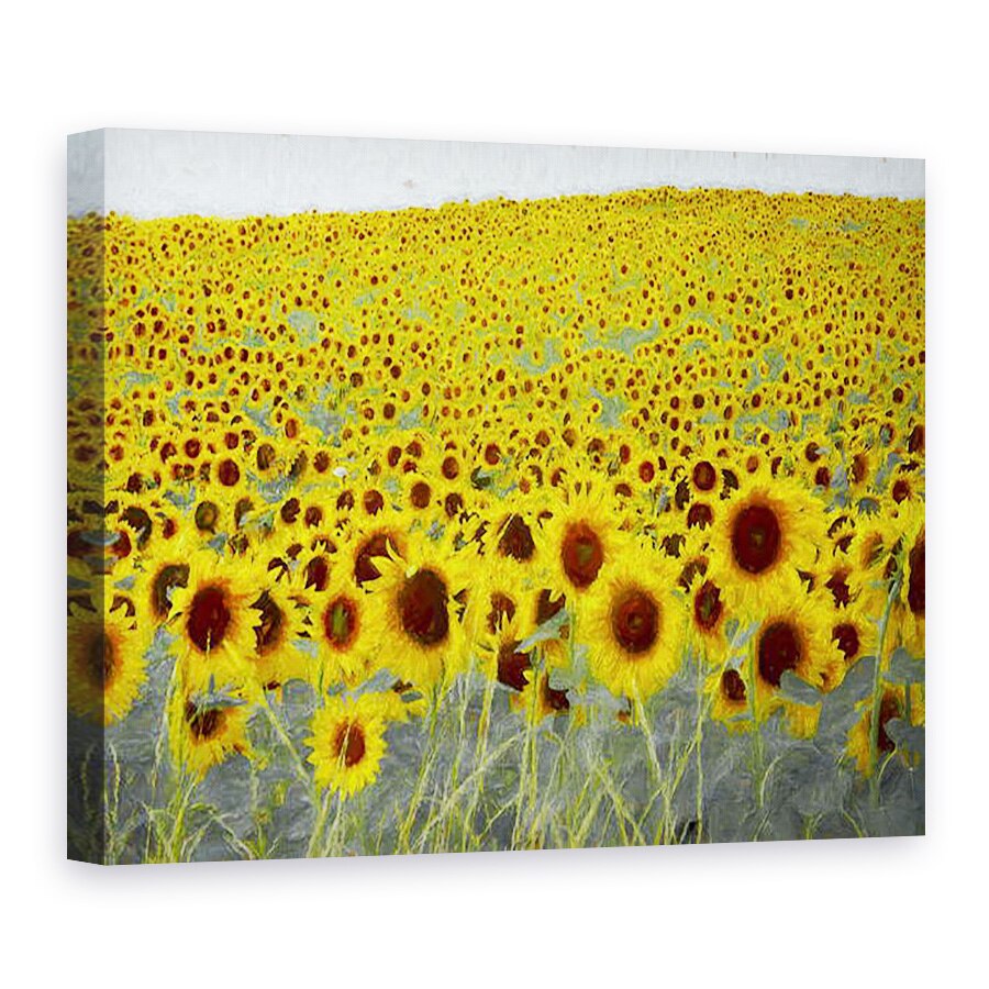 Tablou canvas - Helen White - Floarea-soarelui, 2019, 75 x 100 cm