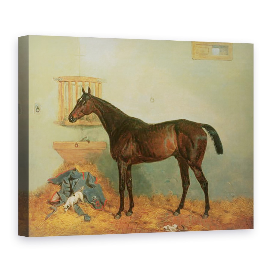 Tablou canvas - Harry Hall - Thoroughbred intr-un grajd, 60 x 80 cm