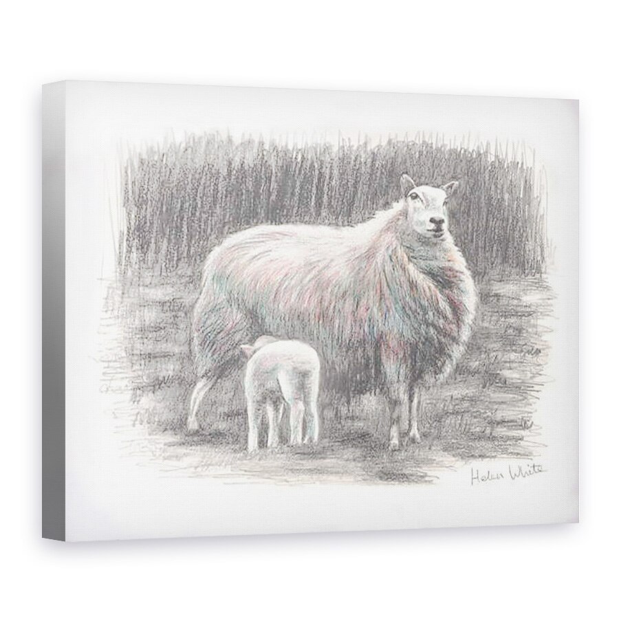 Tablou canvas - Helen White - Mandru, 2016, 60 x 80 cm