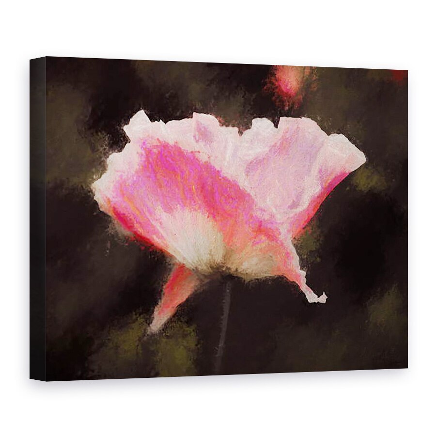 Tablou canvas - Helen White - Roz moale, 2018, 75 x 100 cm