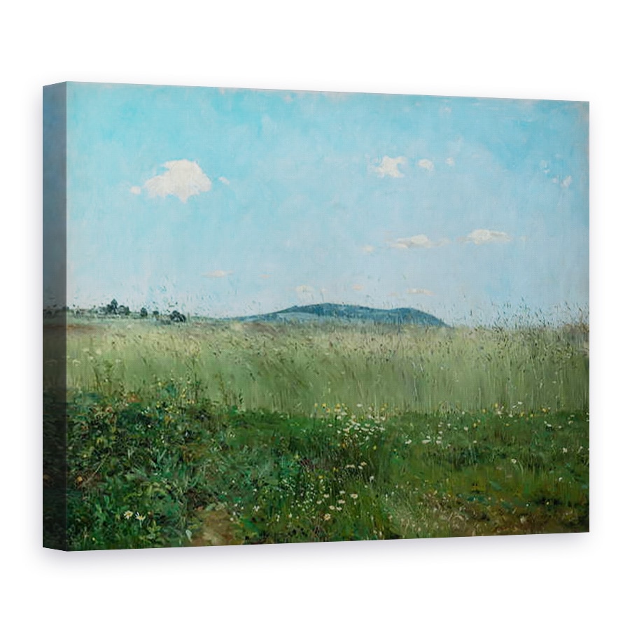 Tablou canvas - Frantisek Kavan - Aerul de acasa, 50 x 70 cm