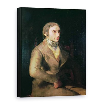 Tablou canvas - Francisco Jose de Goya y Lucientes - Don Manuel Silvela 1781-1832 c.1809-12, 60 x 80 cm Tablou canvas - Francisco Jose de Goya y Lucientes - Don Manuel Silvela 1781-1832 c.1809-12, 60 x 80 cm