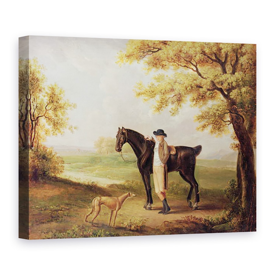 Tablou canvas - George Garrard - Cal, 50 x 70 cm