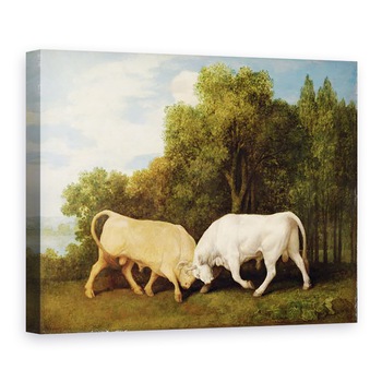 Tablou canvas - George Stubbs - Lupta tauri, 50 x 70 cm Tablou canvas - George Stubbs - Lupta tauri, 50 x 70 cm