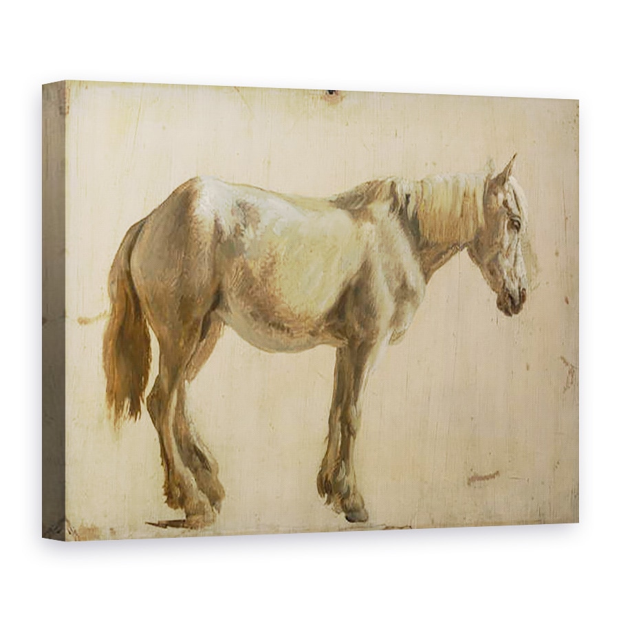 Tablou canvas - Jacques-Laurent Agasse - Studiul unui cal gri, 75 x 100 cm