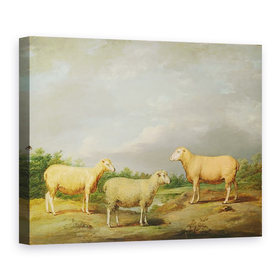 Tablou canvas - James Ward - Ryelands Oaie, Berbecul regelui, Oaia Regelui si Wether Lord Somerville, 75 x 100 cm