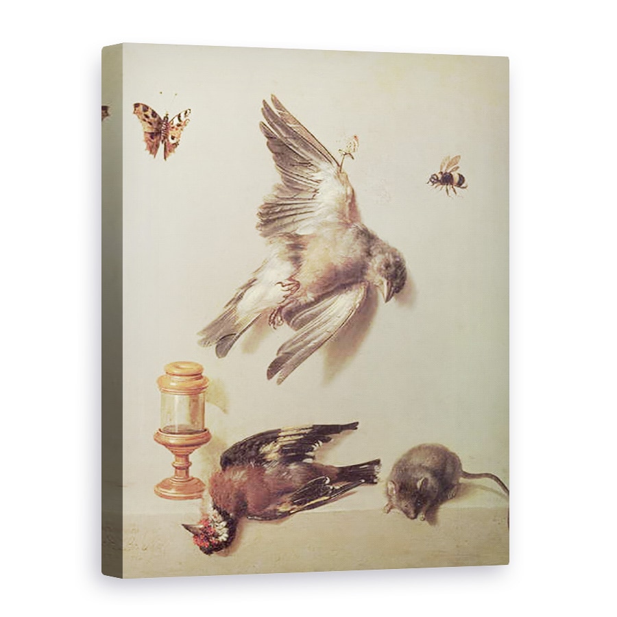 Tablou canvas - Jean-Baptiste Oudry - Natura moarta a pasarilor moarte si a unui soarece, 60 x 80 cm