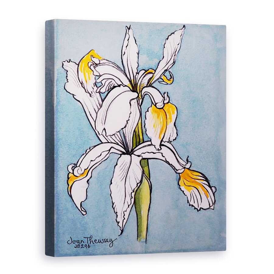 Tablou canvas - Joan Thewsey - Doua Iris, 2001, 50 x 70 cm